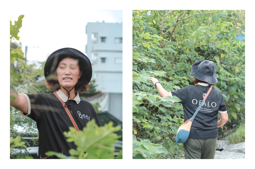 台東慢旅新玩法|日日南島兩天一夜深度體驗,品味在地早午餐、手作工藝與部落文化之旅 台東慢旅新玩法|日日南島兩天一夜深度體驗,品味在地早午餐、手作工藝與部落文化之旅