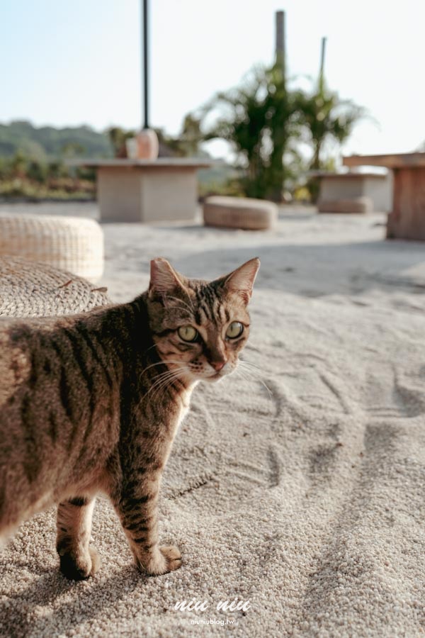 屏東小琉球景點推薦｜Sea Daze Liuqiu，小琉球沙灘酒吧推薦，海景沙灘夕陽秘境