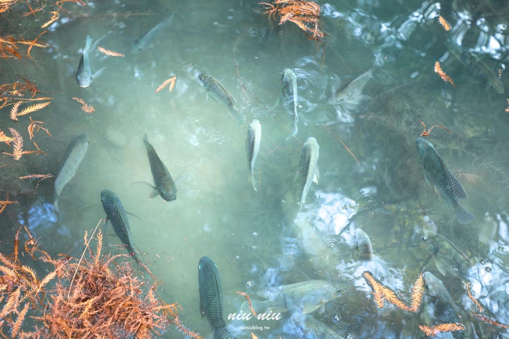 花蓮三天兩夜行程規劃怎麼玩？美食景點、住宿、伴手禮、DIY手作通通都有