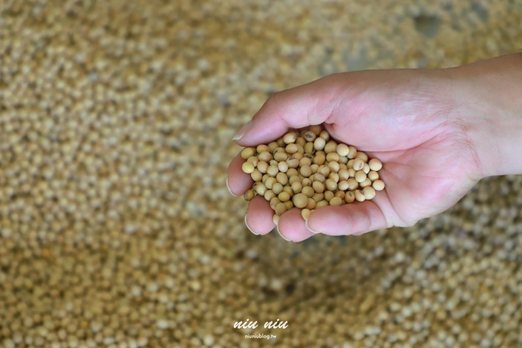 花蓮三天兩夜行程規劃怎麼玩？美食景點、住宿、伴手禮、DIY手作通通都有
