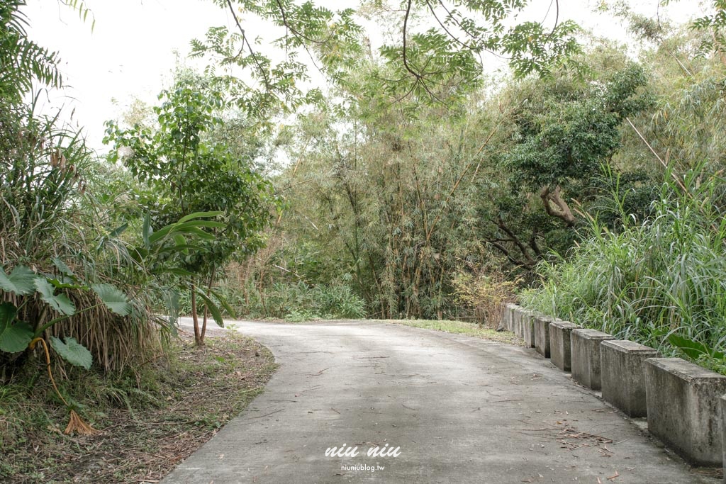 台東沒有地址的咖啡廳｜鯨魚來過，穿越小溪才能抵達小精靈秘境咖啡廳