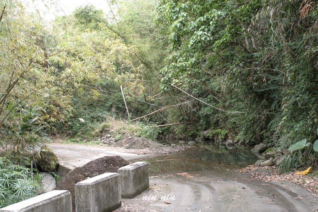 台東沒有地址的咖啡廳｜鯨魚來過，穿越小溪才能抵達小精靈秘境咖啡廳