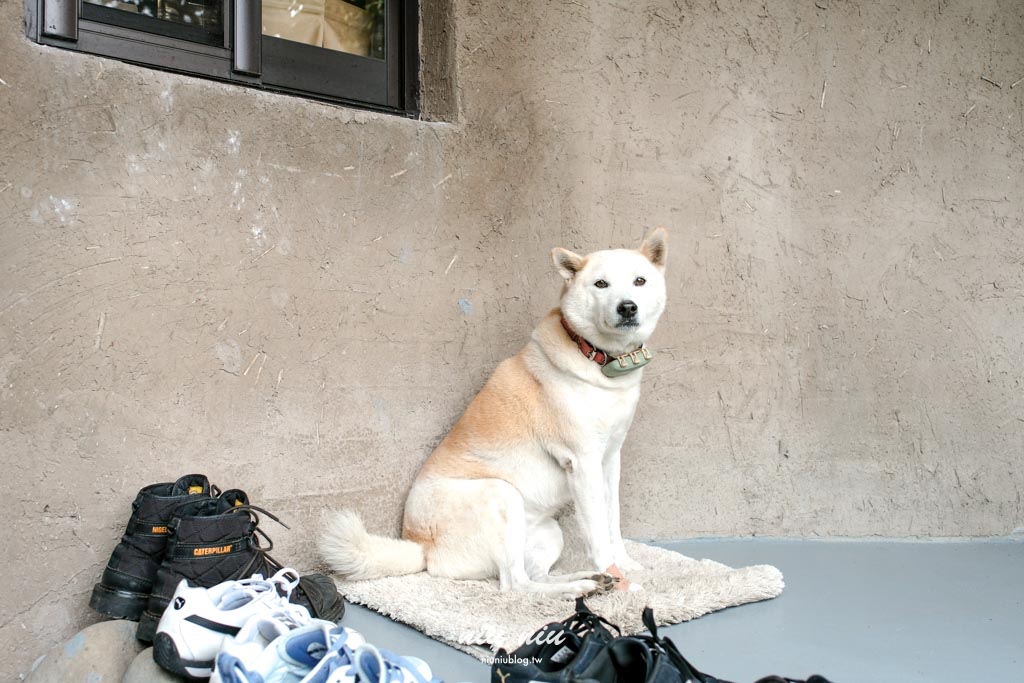 台東沒有地址的咖啡廳｜鯨魚來過，穿越小溪才能抵達小精靈秘境咖啡廳