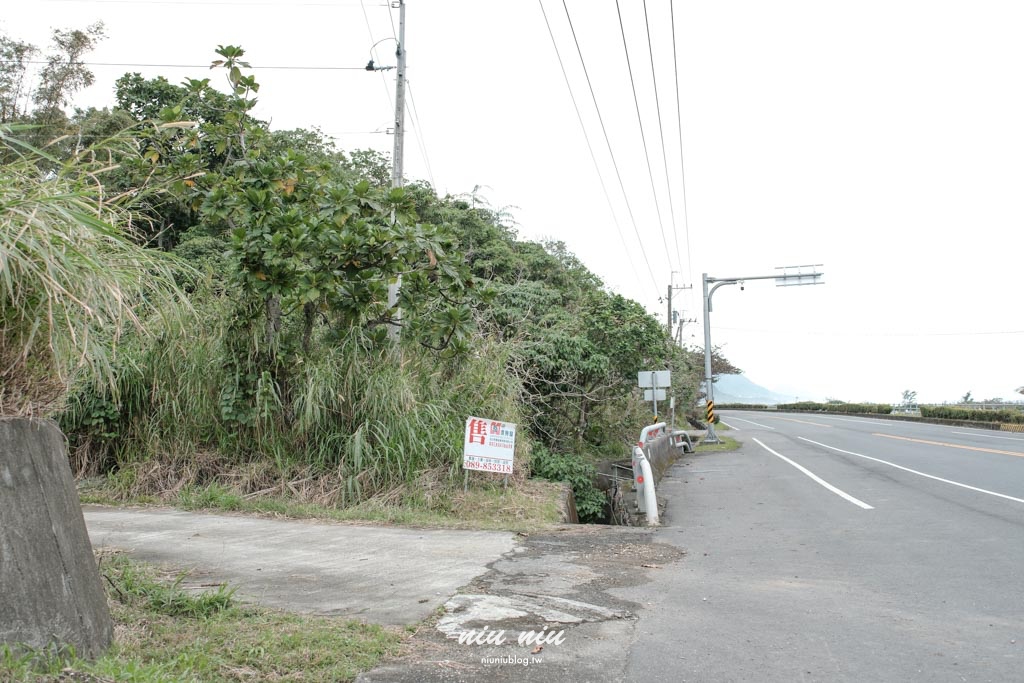 台東沒有地址的咖啡廳｜鯨魚來過，穿越小溪才能抵達小精靈秘境咖啡廳