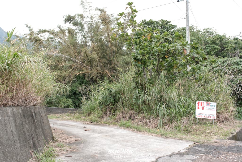 台東沒有地址的咖啡廳｜鯨魚來過，穿越小溪才能抵達小精靈秘境咖啡廳