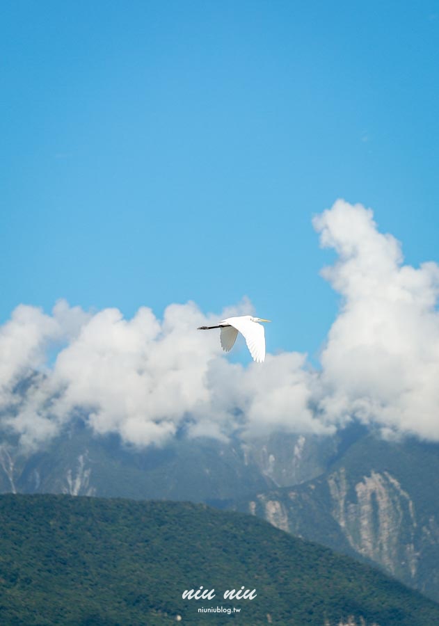 花蓮七星潭住宿分享｜看見七星潭民宿，樓下就是莎莉好食咖啡廳真的太方便