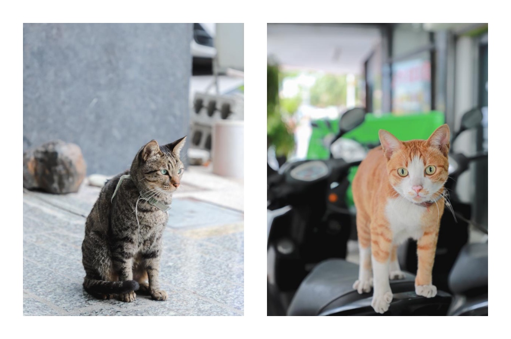 花蓮住宿推薦｜洄瀾窩青年旅舍評價，花蓮火車站正對面，背包客・情侶・家庭都適合