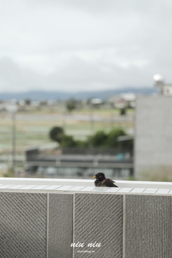 台東池上住宿｜吟雲慢旅：離池上火車站6分鐘，坐擁360度高樓景觀與小農早餐盛宴，二訪依舊著迷的池上民宿首選！