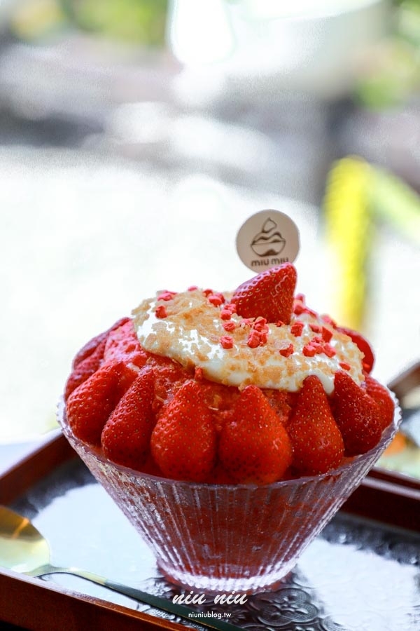 恆春新開幕冰店｜MIU MIU日式刨冰超浮誇！巷弄隱藏版網美冰店，現場還有可愛貓咪可以互動