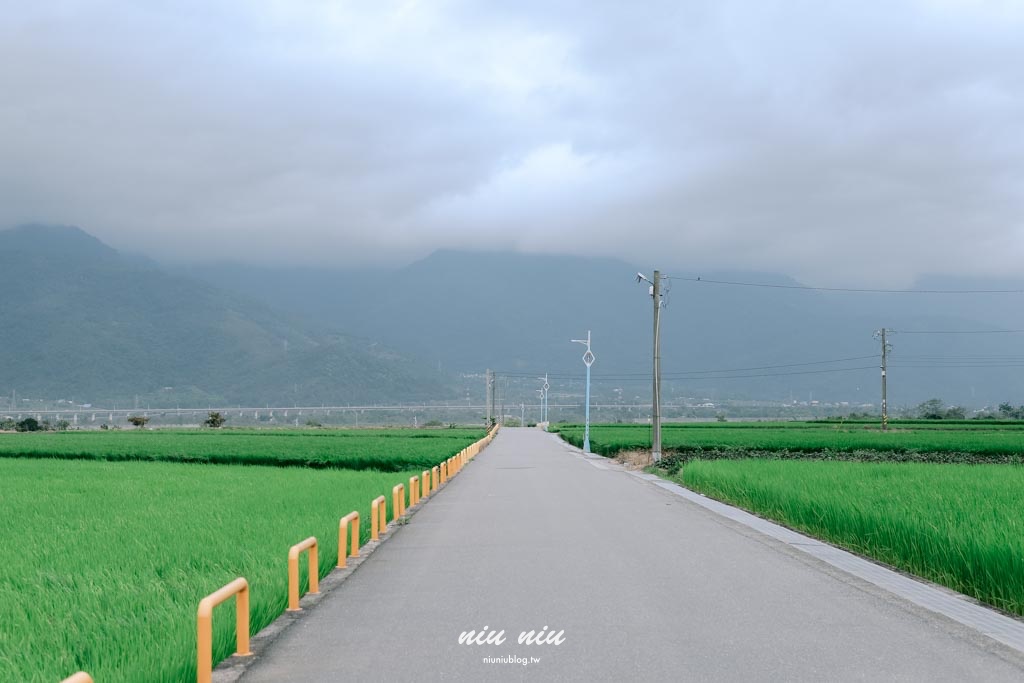 日日南島台東縱谷線遊程｜四條必玩舌尖慢食路線：日出禾作席烙飯糰、秋香坊一夜干、痴愛玉DIY、蓋亞那部落餐桌全攻略