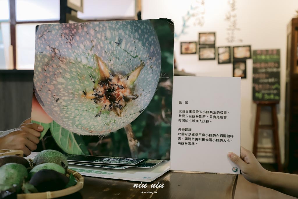 日日南島台東縱谷線遊程｜四條必玩舌尖慢食路線：日出禾作席烙飯糰、秋香坊一夜干、痴愛玉DIY、蓋亞那部落餐桌全攻略