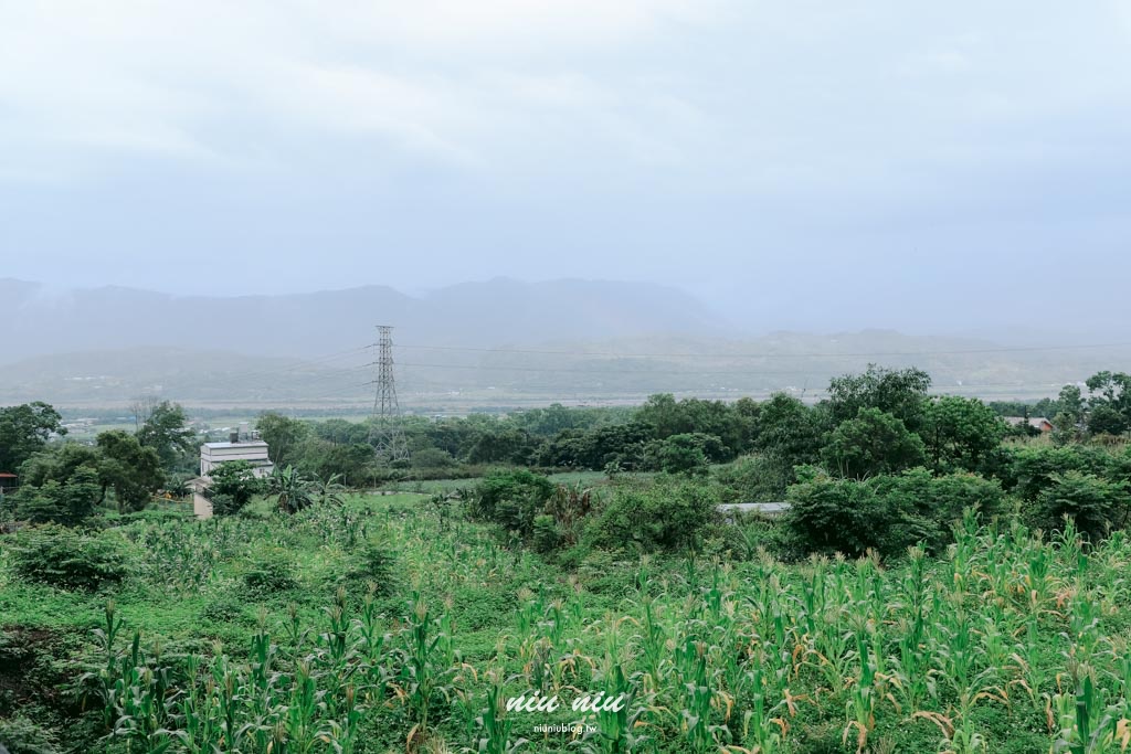 日日南島台東縱谷線遊程｜四條必玩舌尖慢食路線：日出禾作席烙飯糰、秋香坊一夜干、痴愛玉DIY、蓋亞那部落餐桌全攻略