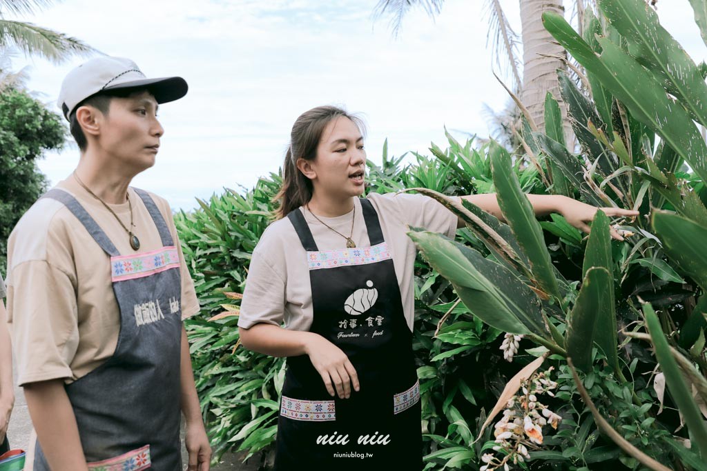 日日南島台東海線遊程｜SUP海洋體驗、頌缽療癒、阿美族野菜文化與營火晚會，一日深度探索東海岸