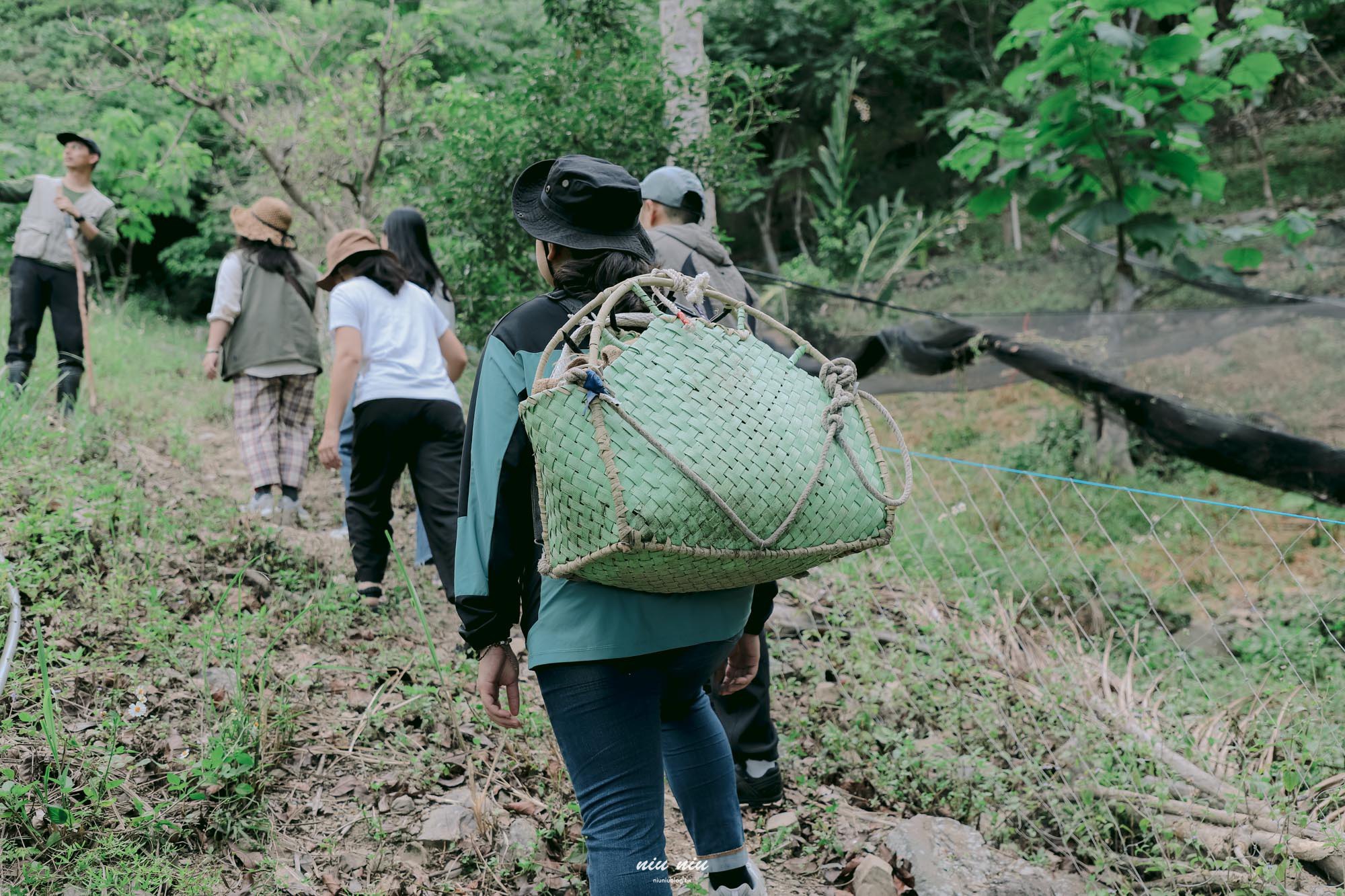 日日南島台東南迴線遊程|什麼是土坂時間?走進祖靈屋、小米的世界與獵人文化的排灣族日常 日日南島台東南迴線遊程|什麼是土坂時間?走進祖靈屋、小米的世界與獵人文化的排灣族日常