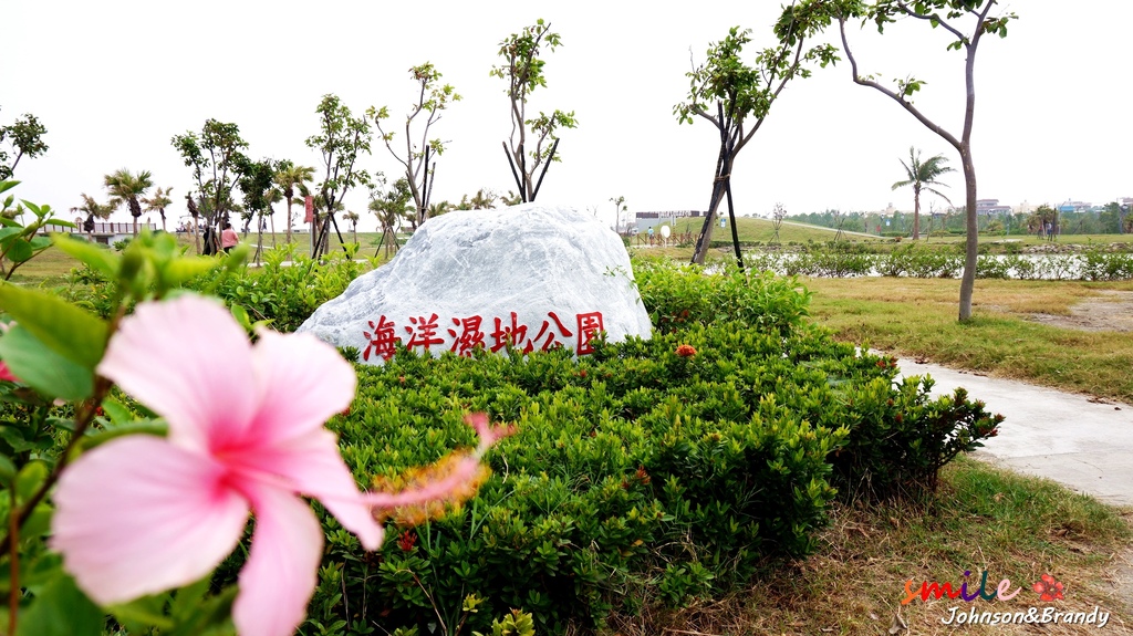 林園第12號特殊海岸海洋濕地公園，沼澤濕地自然生態景觀 @妞妞幸福花園